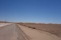13desert018